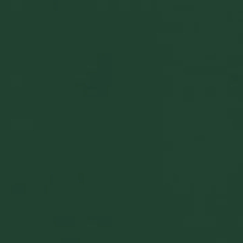 Boys 8-20 Reindeer Lights Long Sleeve Graphic T-Shirt