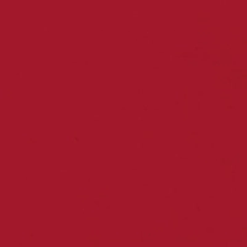 Boys 8-20 Santa & Dog Long Sleeve T-Shirt