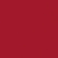 Boys 8-20 Santa & Dog Long Sleeve T-Shirt