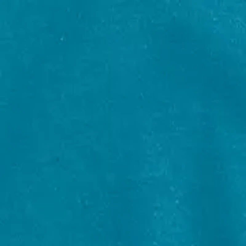 Boys 8-20 Dog Pastime Short Sleeve T-Shirt