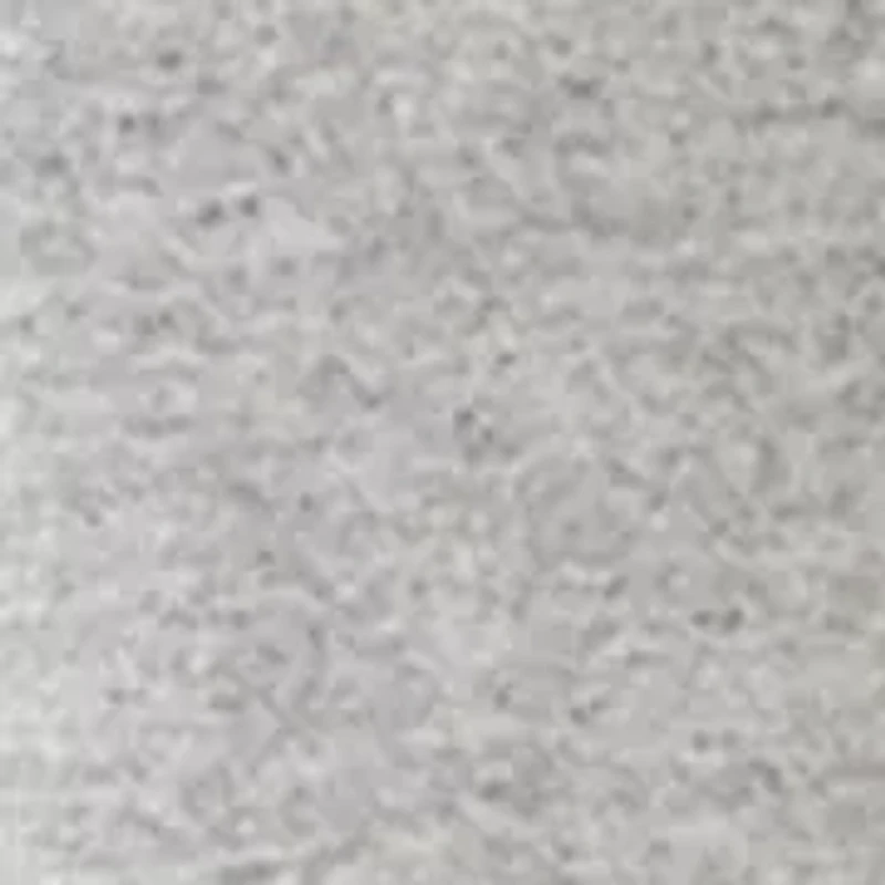 Boys 8-20 Florida State Icon T-Shirt