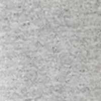 Boys 8-20 Florida State Icon T-Shirt