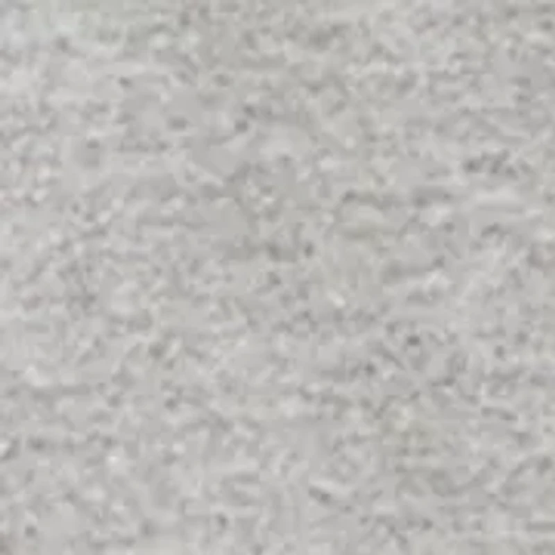 Boys 8-20 SC State Icon Short Sleeve Shirt