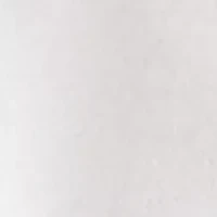 Boys 8-20 American Crab Graphic T-Shirt