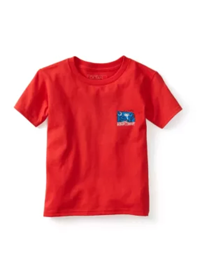 Boys 4-7 South Carolina Labrador Graphic T-Shirt