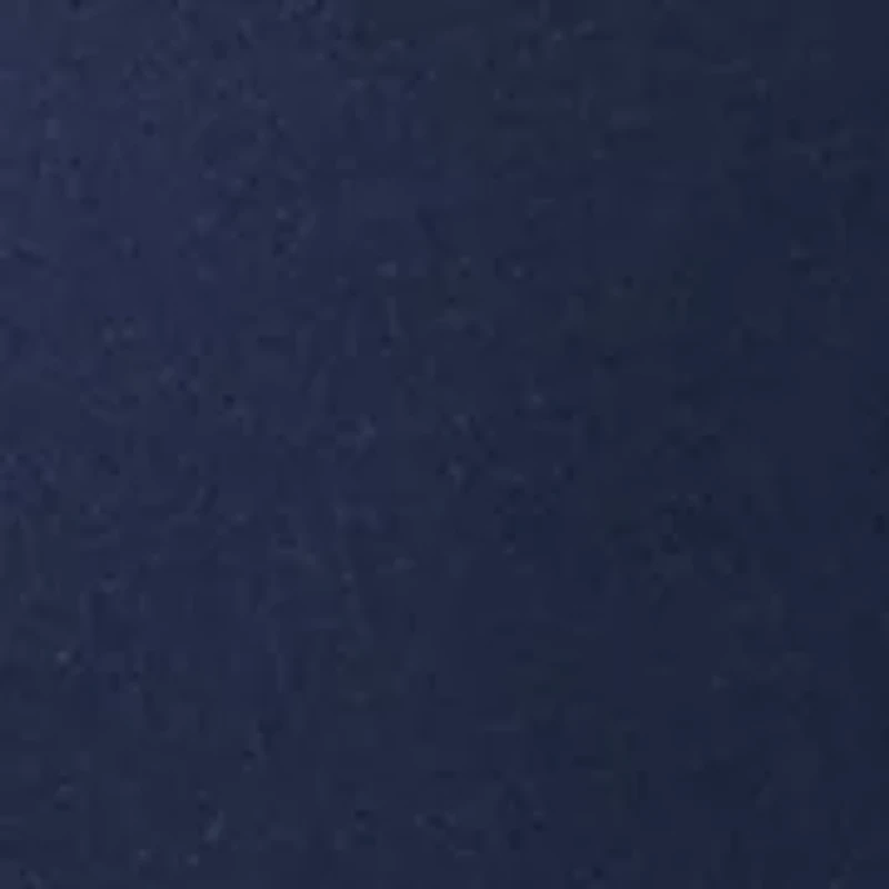 Boys 8-20 Dog, Bear, Deer Long Sleeve T-Shirt