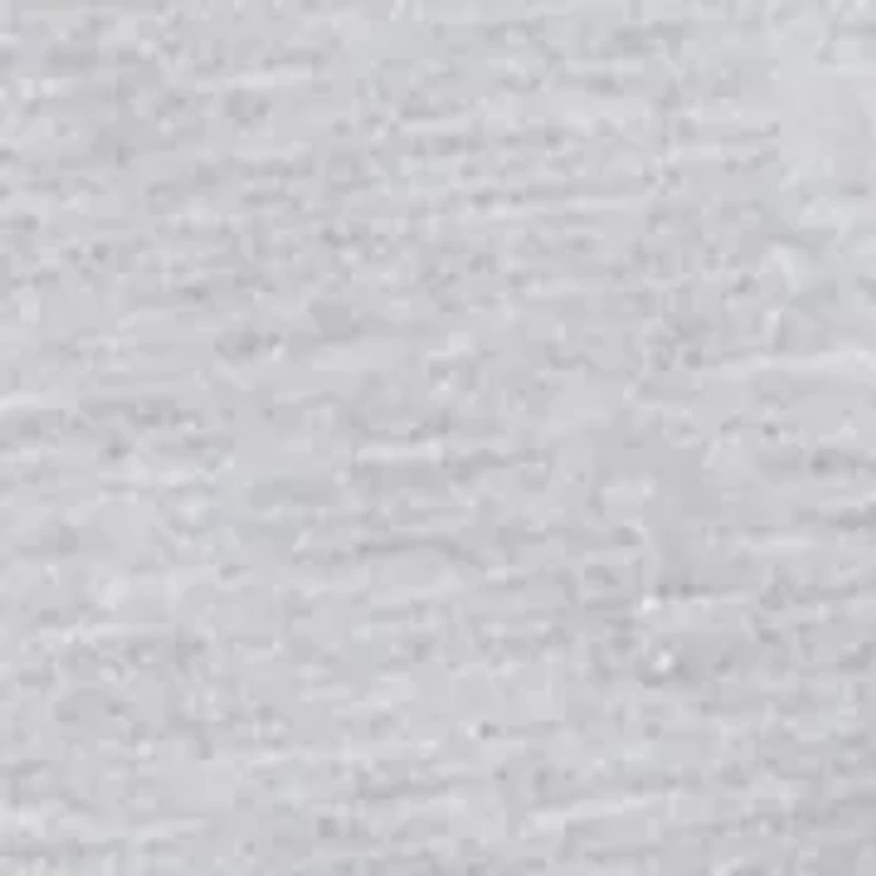 Boys 8-20 Dog Snow Long Sleeve T-Shirt