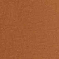 deerflag long sleeve tee