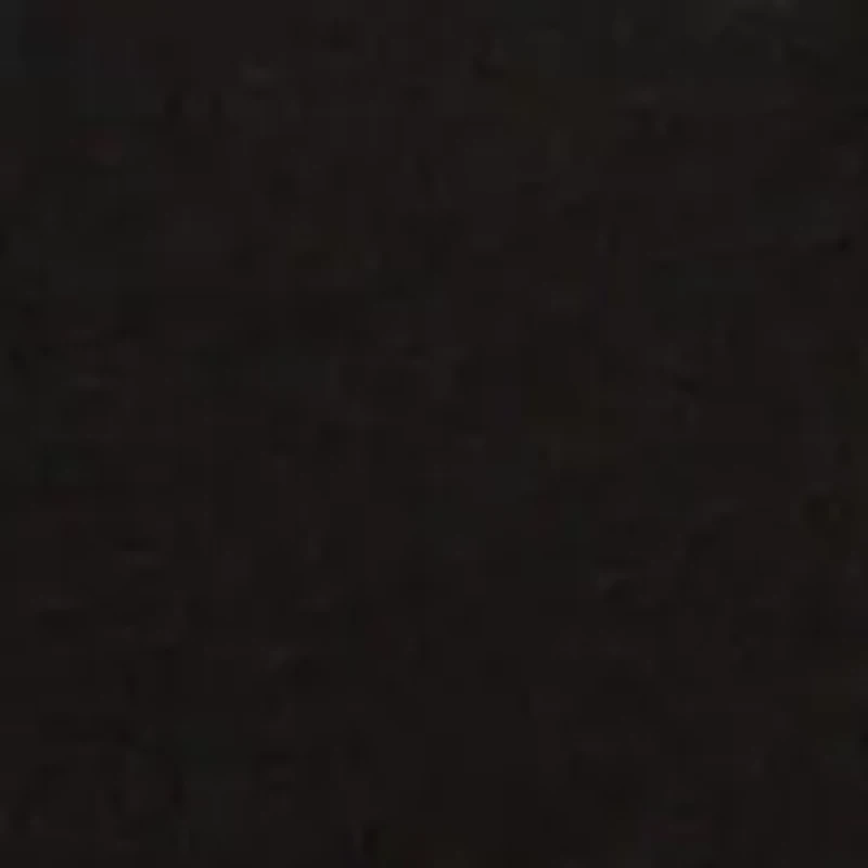 Boys 4-7 Fish Underwater Short Sleeve T-Shirt