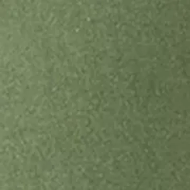 Boys 8-20 Dog Hunting Graphic T-Shirt