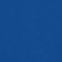 Boys 8-20 HBCU Hampton Pirates Graphic T-Shirt - True Blue