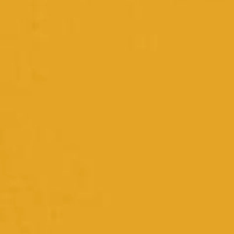 Boys 8-20 HBCU Xavier Musketeers Graphic T-Shirt - Champion Gold