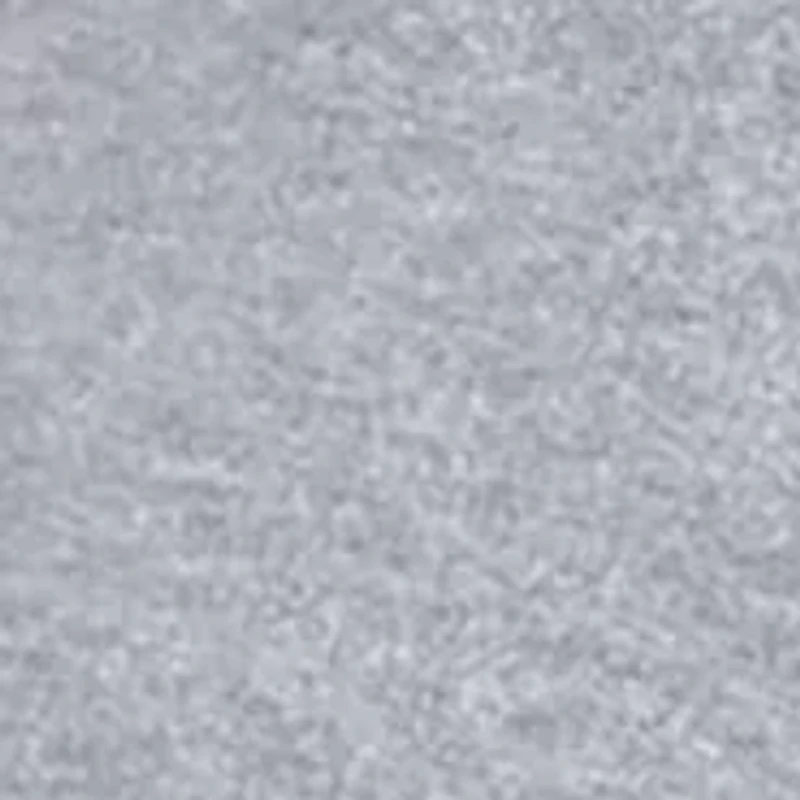 Boys 8-20 NCAA Jackson State Tigers Powerblend Hoodie