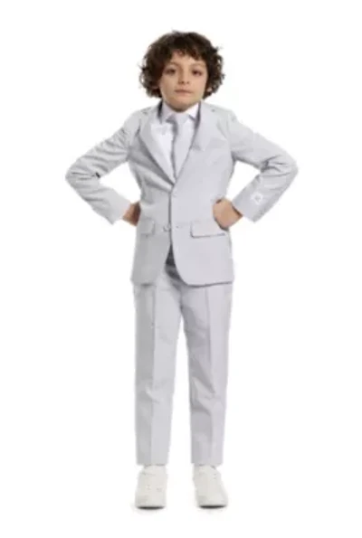 BOYS Groovy Grey 2 Piece Suit + Tie