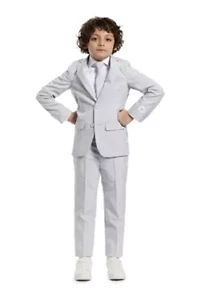 BOYS Groovy Grey 2 Piece Suit + Tie