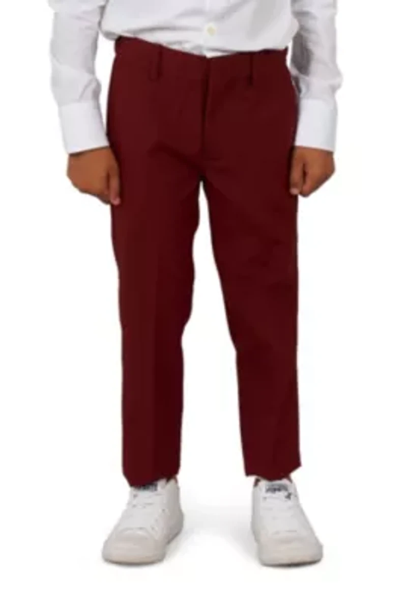 BOYS Blazing Burgundy 2 Piece Suit + Tie
