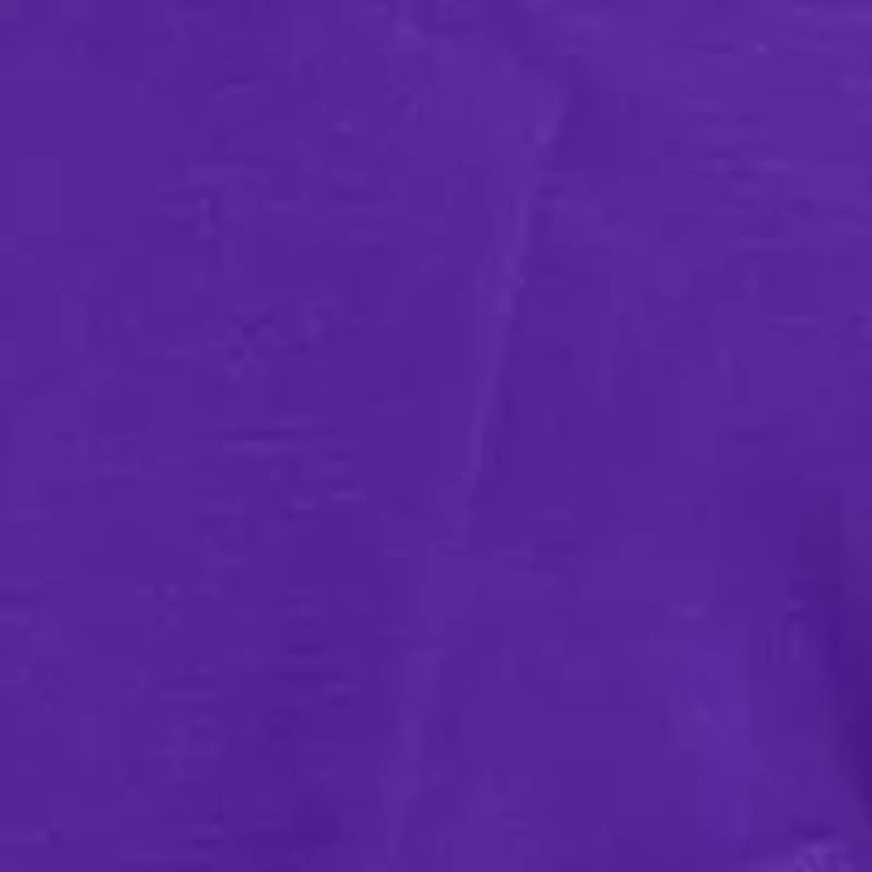 BOYS Purple Prince