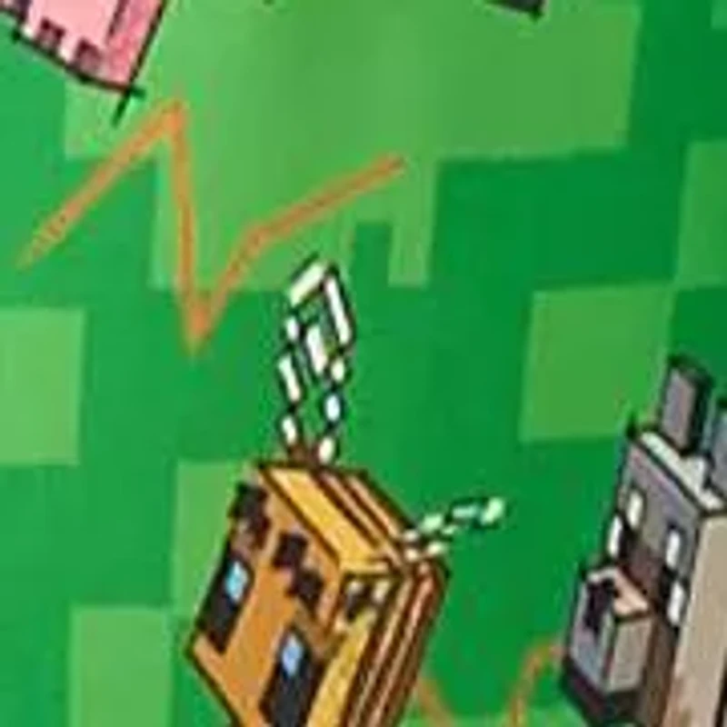 BOYS Minecraft™