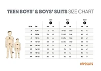TEEN BOYS Lush Blush 2 Piece Suit + Tie