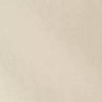 Boys 8-20 Husky Twill Shorts