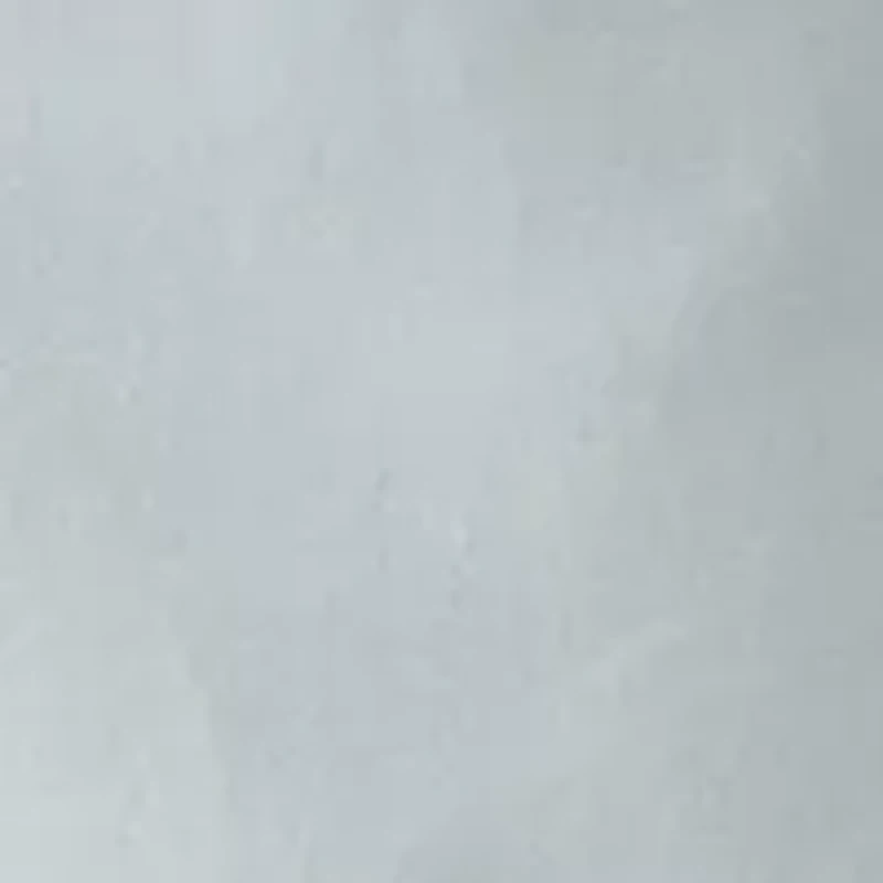 Boys 8-20 Twill Shorts