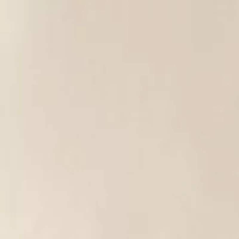 Boys 8-20 7-Inch Flat Front Twill Shorts