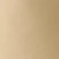 Boys 8-20 7-Inch Flat Front Twill Shorts