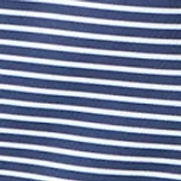 Boys 8-20 Husky Striped Performance Polo Shirt