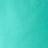 Boys 8-20 Deck Shorts