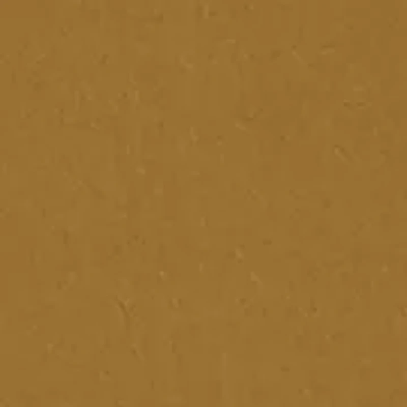 Boys 4-7 5" Pull On Shorts