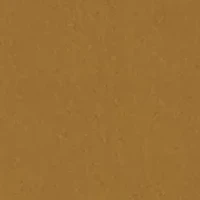 Boy's 4-7 Elastic Shorts