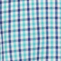 Boys 4-7 Gingham Poplin Shirt
