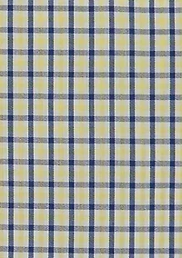 Boys - Woven Gingham Poplin Shirt