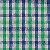 Boys 8-20 Gingham Printed Poplin Shirt