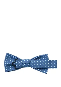 Boys Fashion Chambray Dot Tie
