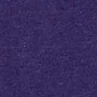 NCAA Clemson Tigers  Graphic T-Shirt