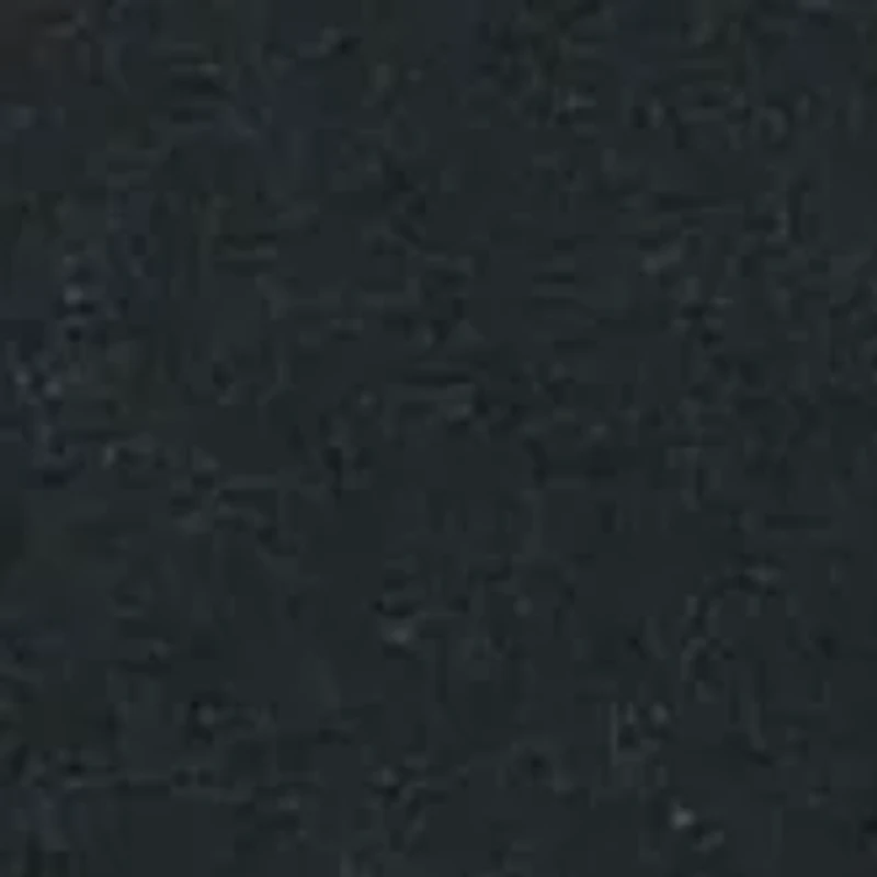 NCAA South Carolina Gamecocks Graphic T-Shirt