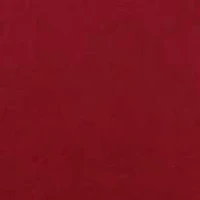 Toddler Boys NCAA South Carolina Gamecocks Graphic T-Shirt - Cardinal