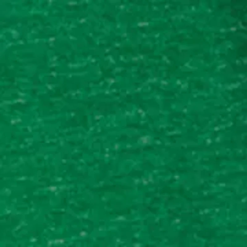 Boys 8-20 Incoming Turtles Graphic T-Shirt