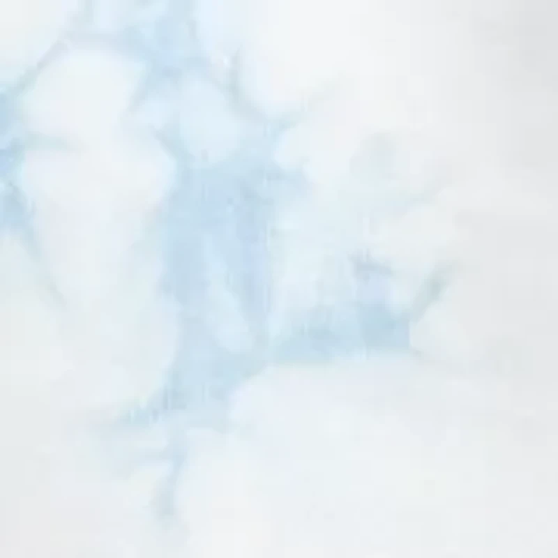 Boys 8-20 Tie Dye Shorts