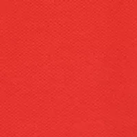 Boys 8-20 Stretch Ivy Polo Shirt