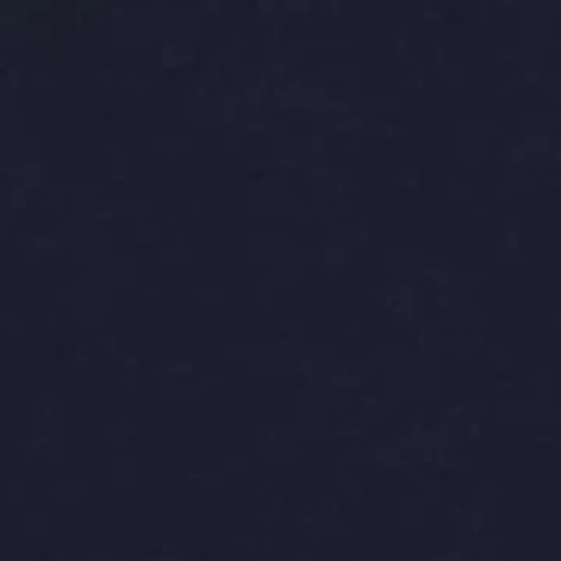 Boys 8-20 Essential Shorts