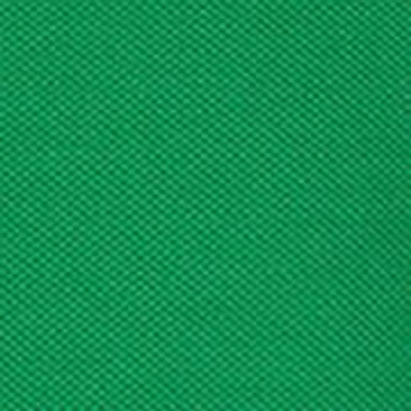 Boys 4-7 Ivy Polo Shirt