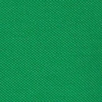 Boys 4-7 Ivy Polo Shirt