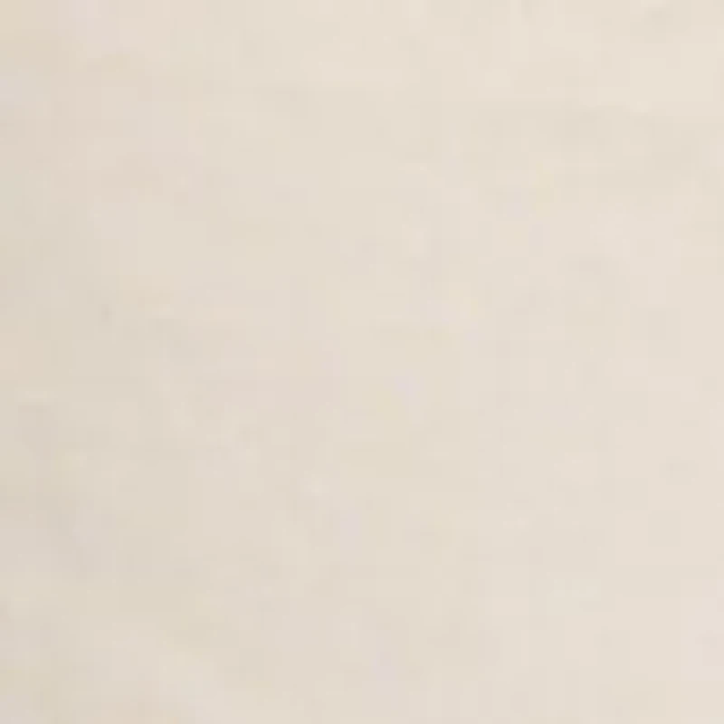 Boys 8-20 Flat Front Oxford Shorts