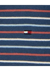 Toddler Boys Polo Shirt and Shorts Set