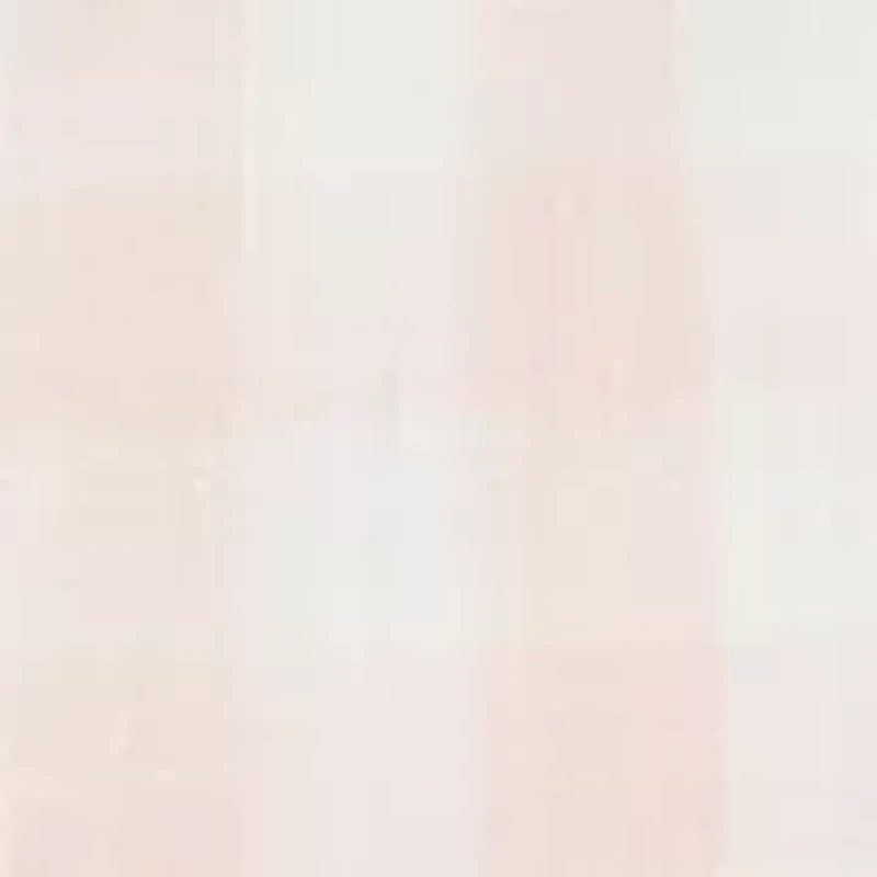 Toddler Boys Button Down Shirt and Shorts Set