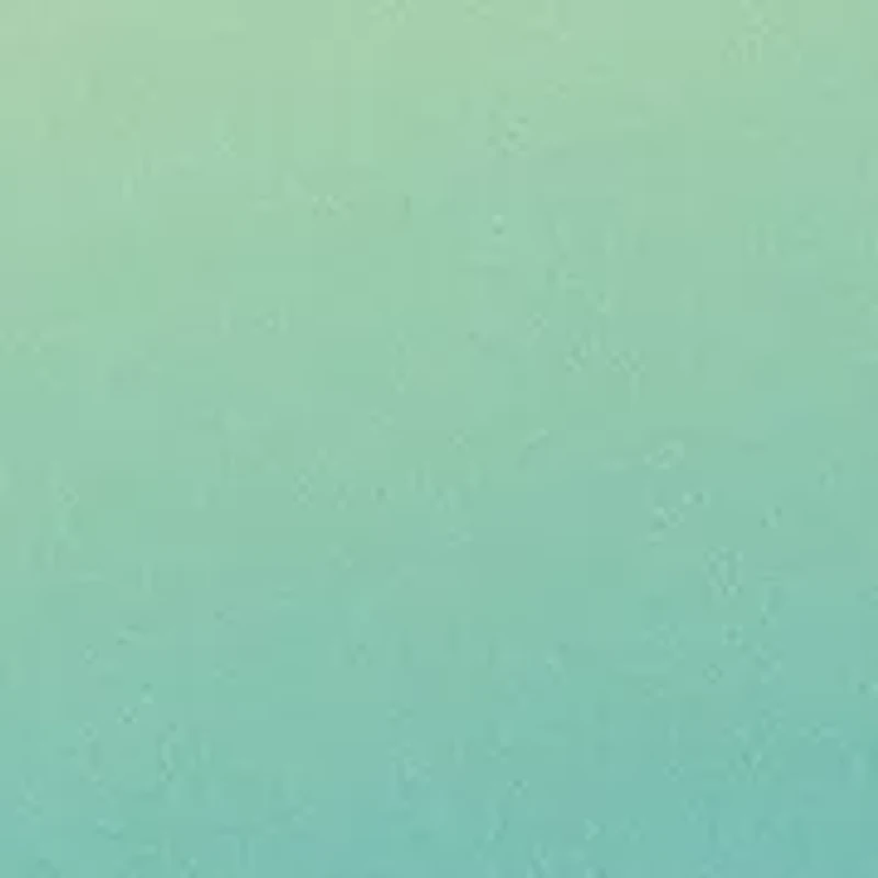 Boys 8-20 Ombre Boardshorts