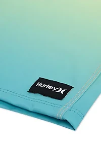 Boys 8-20 Ombre Boardshorts