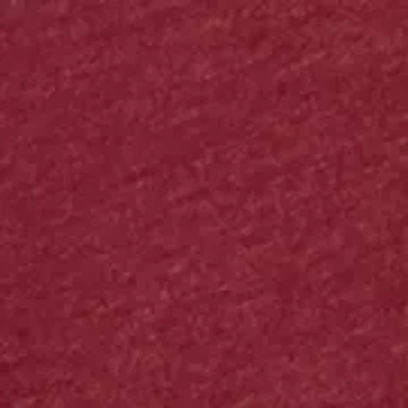 Boys 8-20 Long Sleeve Puppy Christmas Graphic T-Shirt